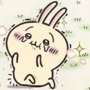 충칭훠궈마라탕 이미지