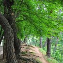 운주산성 성곽길 | 부여 부소산성 역사길 - 낙화암과 고란사를 찾다.