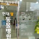 현대웰동물병원 이미지