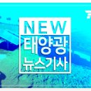 수성 태양광발전소 이미지