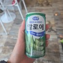 멍멍뷰티 | 청주 마사지샵 율량동 사이공뷰티앤스파마사지 A코스 솔직 후기