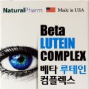 네추럴 팜 이미지