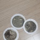 매트리스소파카펫새로클린 - 관악구 관악로12길 32-3 | 검단신도시 매트리스 청소 새로클린 내돈내산 후기