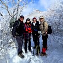 산들바람 이미지