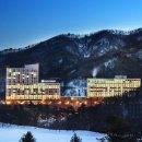 향기365 이미지