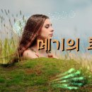 메기의 추억 Daum카페
