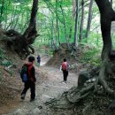 고개너머 이미지