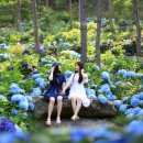 ㈜청보리 이미지