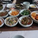 참나무쟁이 이미지