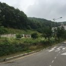 서구-02-09 이미지