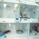 첨단우리동물병원 이미지