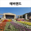 오남매꼬마김밥 | 용인 에버랜드 하늘정원길 피크닉, 튤립축제 후기(w.5세 아마존익스프레스)