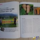 김태운 농장 네이버블로그
