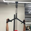 매드와이드 이미지