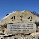 배내배내 이미지