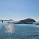욕지영동해운(불곡) | 통영 당포항에서 욕지도로! 🛳️ 힐링 끝판왕 욕지도 여행 1박 2일 완벽 후기 (Feat. 영동 해운 페리 시간표)