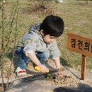 토토공방