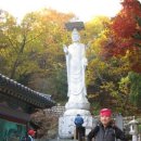 도봉야영장 이미지