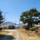 영주땅공인중개사사무소 네이버블로그