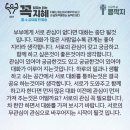 콩깍지 이미지