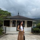 꿀꿀 PC | [제천] 월악유스호스텔 /휴가추천/내돈내산/수영장/감성숙소/반려견동반호텔