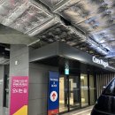 펫 소울메이트 | [마곡 코엑스] 마곡 코엑스 펫페어 방문, 마곡코엑스 주차꿀팁 / 밸류드 커스텀 티셔츠 제작