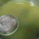 시골다슬기 이미지