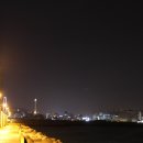 류가네가든 이미지