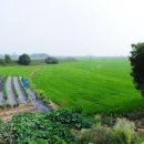 수원비행장공인중개사사무소 이미지