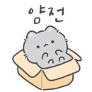 해피애견타운 강아지고양이 포항점&현살롱드펫(남구) 이미지