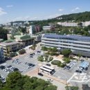안동시민운동장 테니스장 스포츠동아