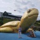 경남산청한방약초축제장 이미지