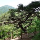 율리빙