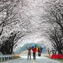 제일원떡방앗간 이미지