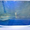 바다활어횟집 이미지