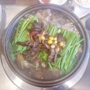 또오리 이미지