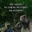 베베카우 | 파워블로거가 되기 위해 헬스장에 등록했다
