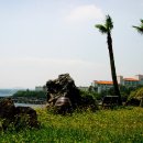 장미길코스 이미지