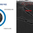 에프아이씨주 네이버블로그