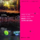 (주)이지위드 이미지