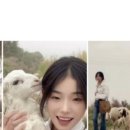 양치기소녀 - 동대문구 천호대로 13 | 양치기소녀