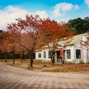동해 구상수시설 이미지