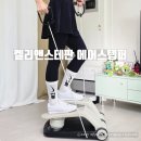 근력스트레칭(1) | 에어스텝퍼 추천 집에서 걷기·근력운동 끝내는 홈트템 켈리앤스테판 에어스텝퍼 K200 후기