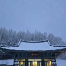 쉼표고성 | [강원/고성] 강원도캠핑장 힐링 성지 고성라벤더캠핑장 다녀온 찐 후기