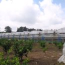 가시보건진료소 이미지