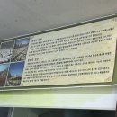 신우식당소머리국밥