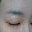 라파엘바이오 이미지