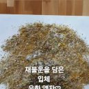 시떼저팬