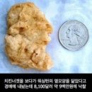 황당한치킨 네이버블로그