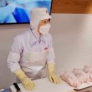 오뚜기라면(주) | 2026 라면공장 견학 신청 방법 총정리: 농심·오뚜기·삼양·하림 투어 팁